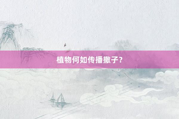 植物何如传播撒子？